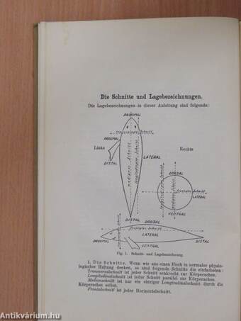 Anleitung zu makroskopisch-zoologischen Uebungen I-II.