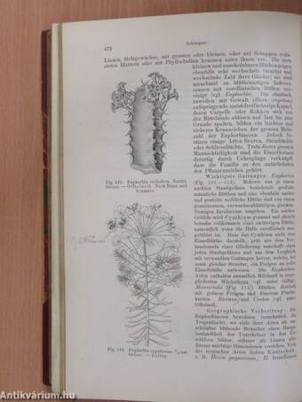 Lehrbuch der Botanik für Hochschulen (Ifj. Dr. Entz Géza könyvtárából)