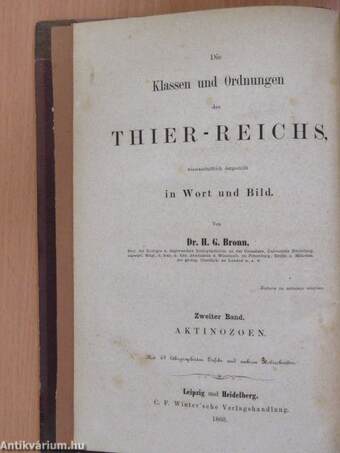 Die Klassen und Ordnungen der Strahlenthiere (Actinozoa), wissenschaftlich dargestellt in Wort und Bild