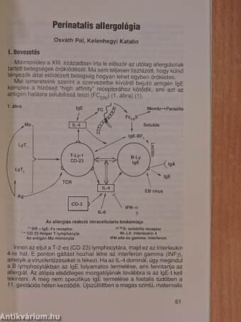 Csecsemő- és gyermekkori allergiás megbetegedések