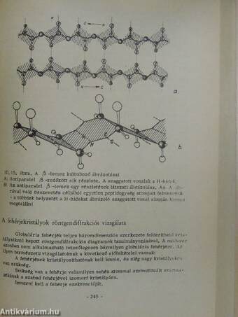 Biokémia I.