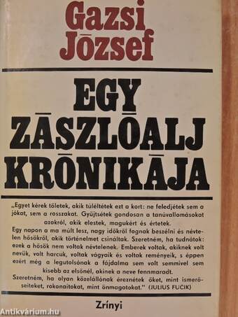 Egy zászlóalj krónikája