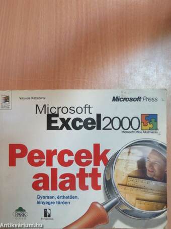 Microsoft Excel 2000