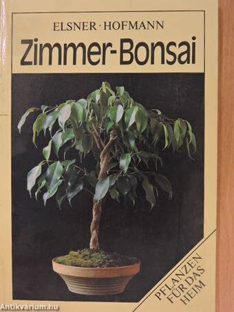 Zimmer-Bonsai