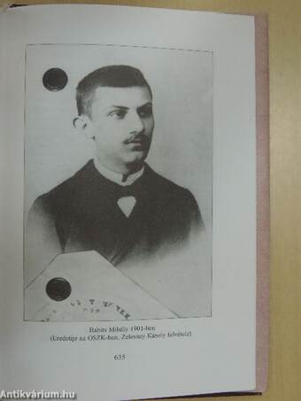 Babits Mihály levelezése 1890-1906