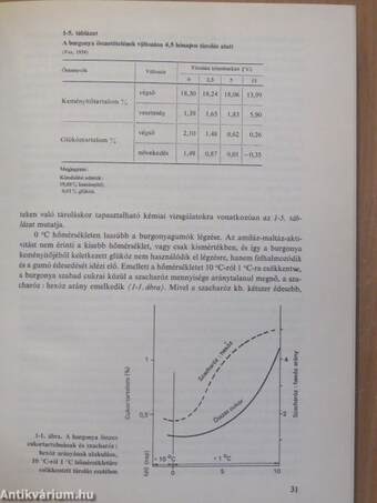 Terménytárolás szellőztetéssel