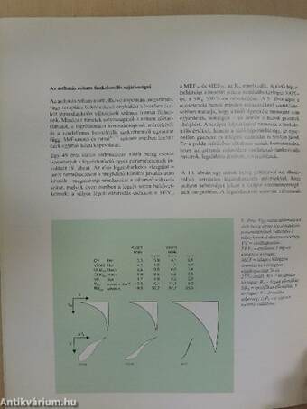 Asthma tájékoztató 5.