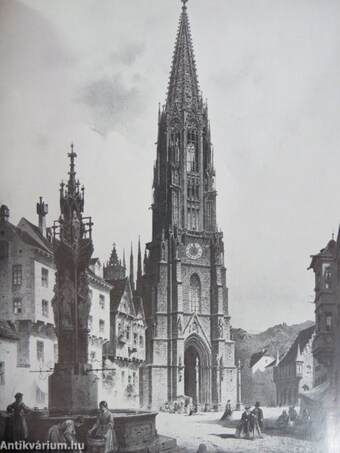 Freiburger Münster