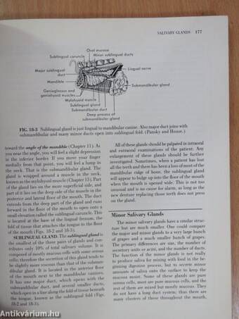 Anatomy of Orofacial Structures