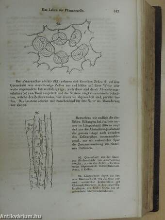 Grundzüge der wissenschaftlichen Botanik I-II.