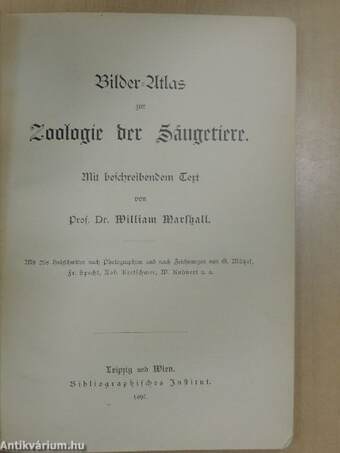 Bilder-Atlas zur Zoologie der Säugetiere (gótbetűs)