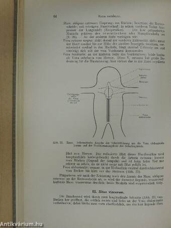 Anleitung zu zoologisch-morphologischen Uebungen II.