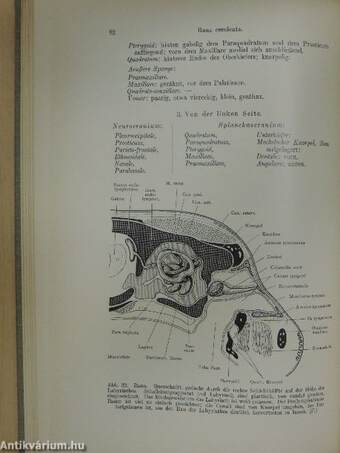 Anleitung zu zoologisch-morphologischen Uebungen II.