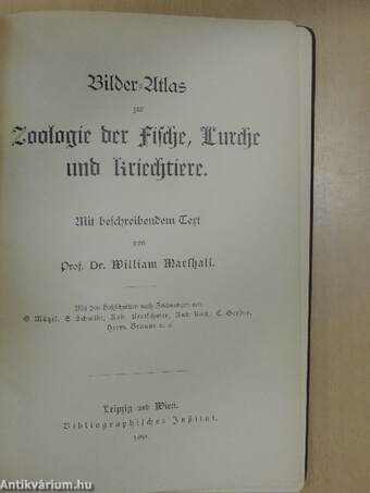 Bilder-Atlas zur Zoologie der Fische, Lurche und Kriechtiere (gótbetűs)