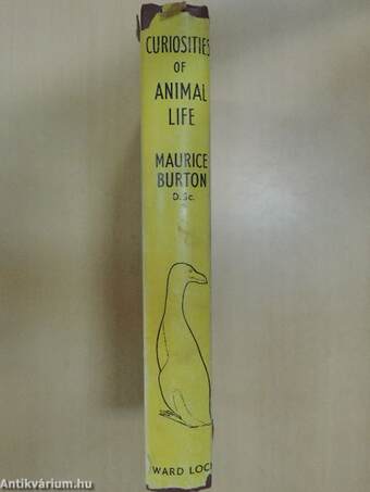 Curiosities of animal life