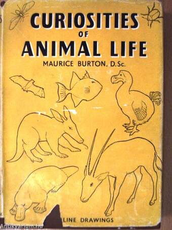 Curiosities of animal life