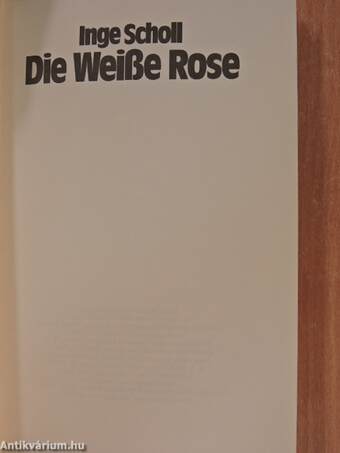 Die Weiße Rose