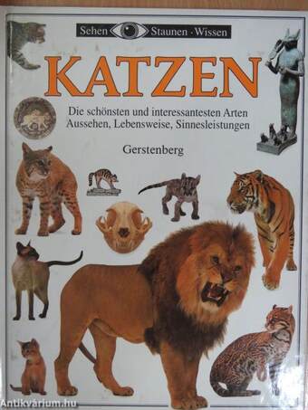 Katzen