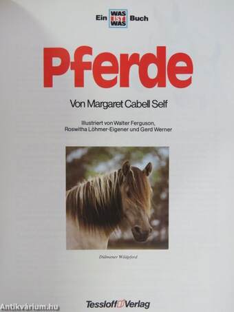 Pferde