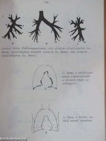 Az orvosi radiológia alapfogalmai