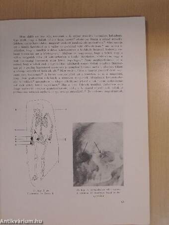 A Békés megyei múzeumok közleményei 1971/1.