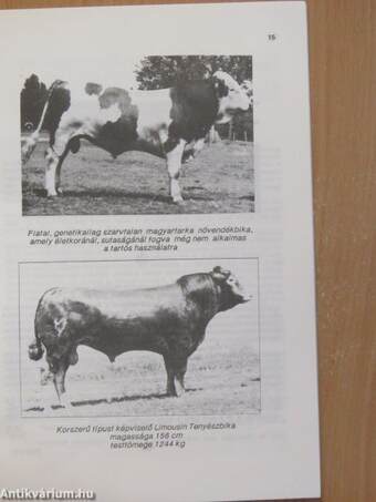 Vágóállat és hústermelés 1990. január-december