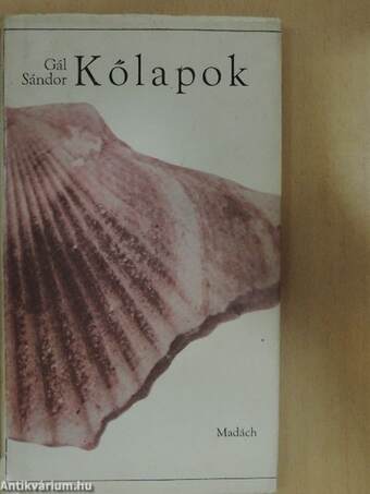 Kőlapok