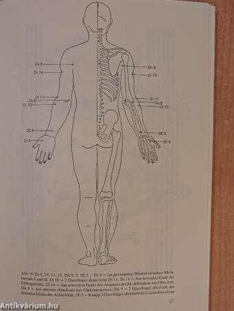 Akupunktur für mäßig Fortgeschrittene II/1-2.