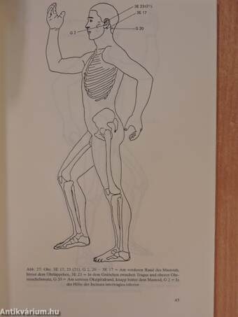 Akupunktur für mäßig Fortgeschrittene II/1-2.