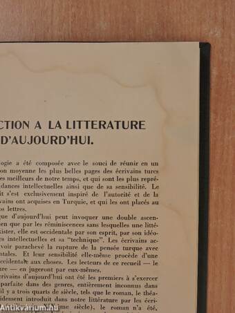 Anthologie des ecrivains turcs d'aujourd'hui