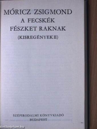 A fecskék fészket raknak