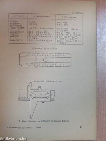 Laboratóriumi gyakorlatok I.