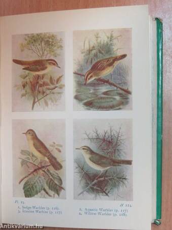 Birds of the Wayside and Woodland