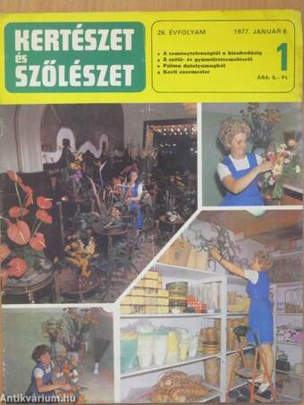 Kertészet és Szőlészet 1977. január 6.