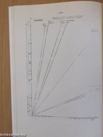 Szervezés az élelmiszeripari vállalati gyakorlatban