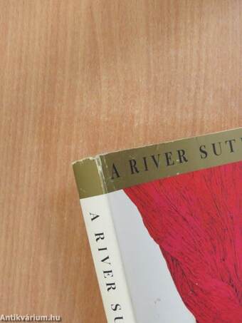 A River Sutra