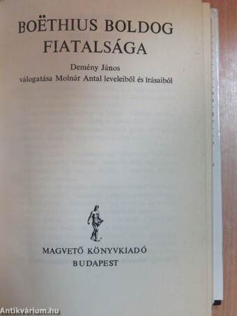 Boethius boldog fiatalsága