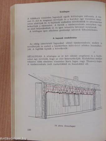 Szőlőtermesztés I-II. (dedikált példány)