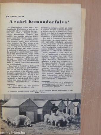 A kutya 1971. február