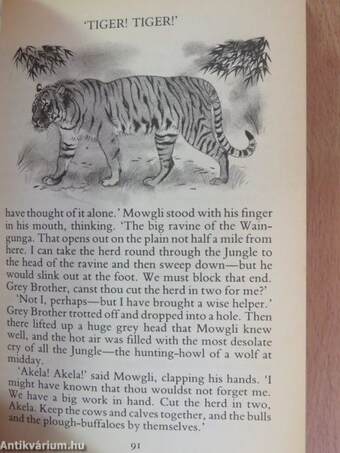 All the Mowgli Stories