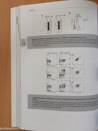 Stage-dependent functions of GATA-3 in lymphocyte lineage determination and in type-2 immunity/Stadium-specifieke functies van GATA-3 tijdens lymfoide differentiatie en type-2 immuniteit