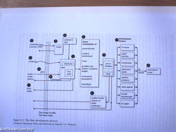 The International Film Business