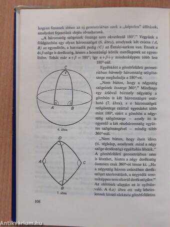 Nagy pillanatok a matematika történetében (dedikált példány)