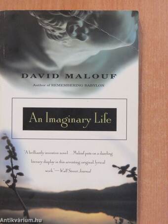 An Imaginary Life