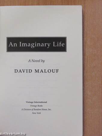 An Imaginary Life