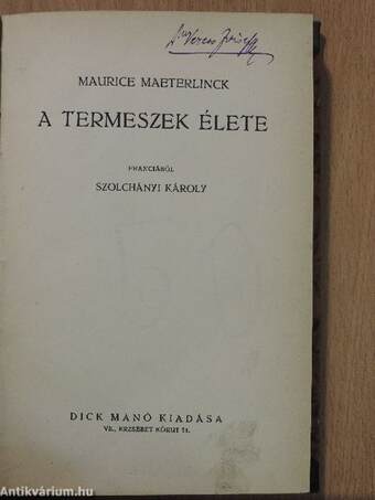 A termeszek élete