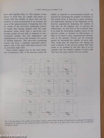 Computational modeling of an early evolutionary stage of the nervous system