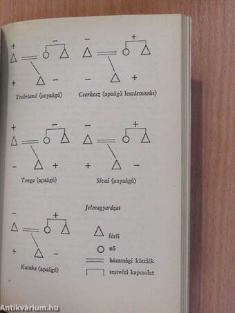 Mi a strukturalizmus? (dedikált példány)