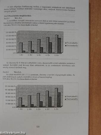 Egy lépés a tudásalapú gazdaság felé/Üzleti innovációs modellek az egyetem-vállalat kapcsolatrendszerében