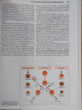 Az immunológia élettani és molekuláris alapjai